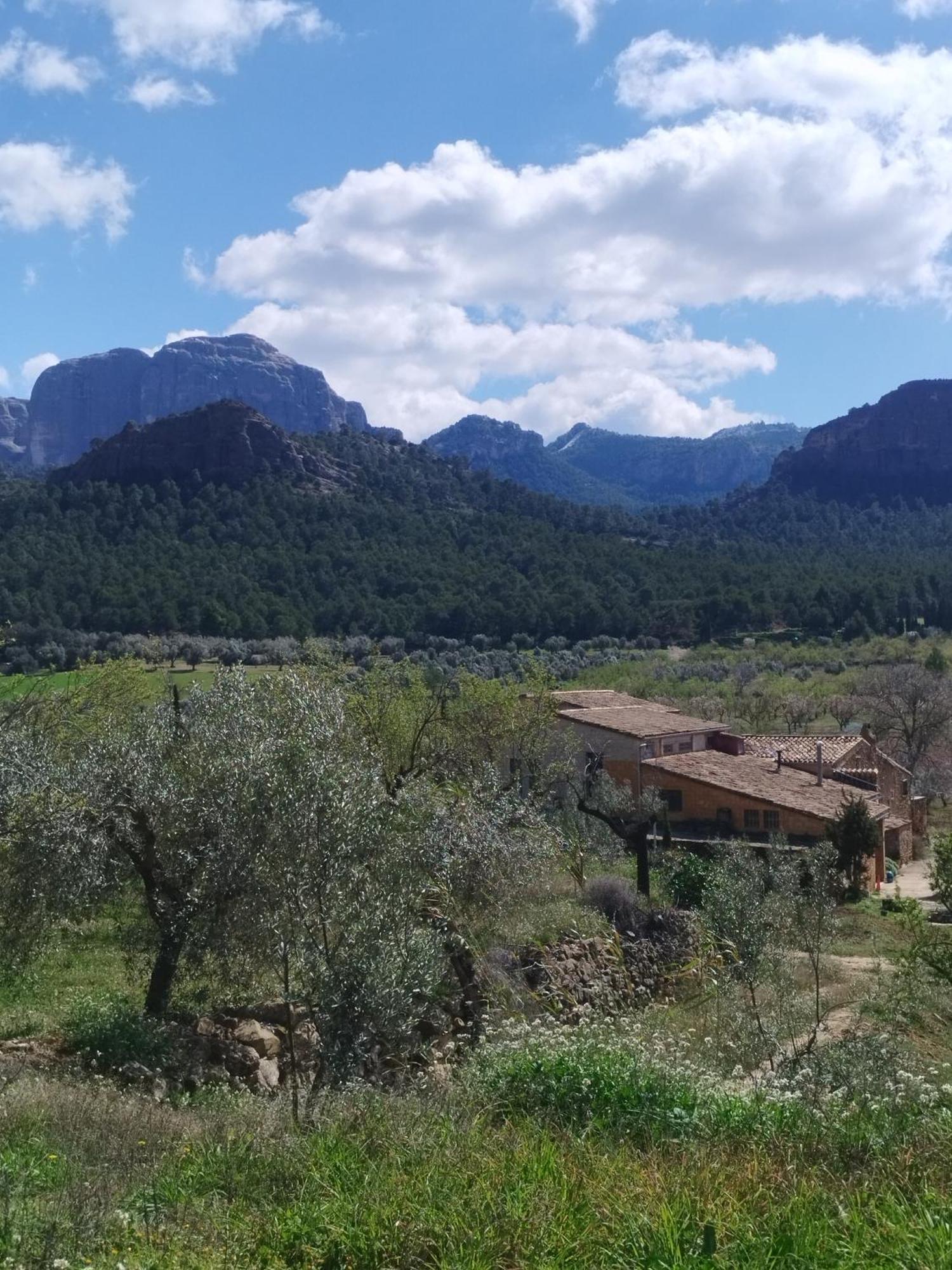 Mas De Manresa Apartman Horta de Sant Joan Kültér fotó