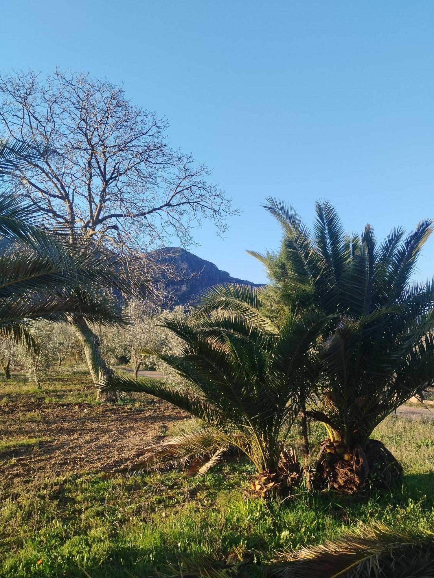 Mas De Manresa Apartman Horta de Sant Joan Kültér fotó