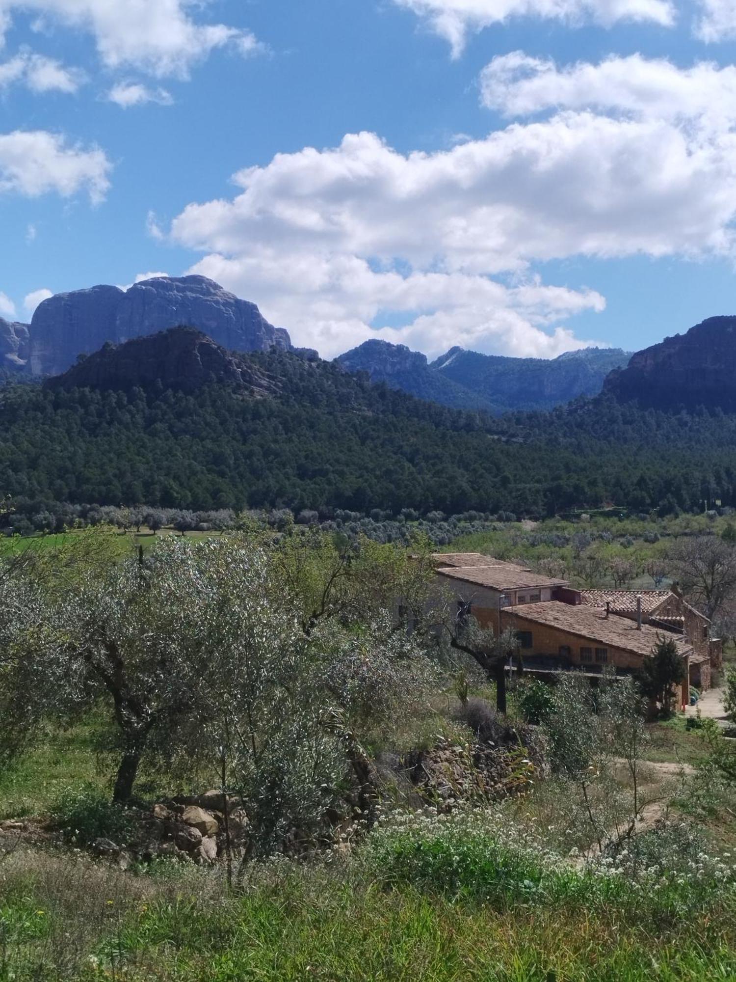 Mas De Manresa Apartman Horta de Sant Joan Kültér fotó